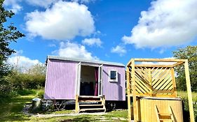 Lilac Tree Hut
